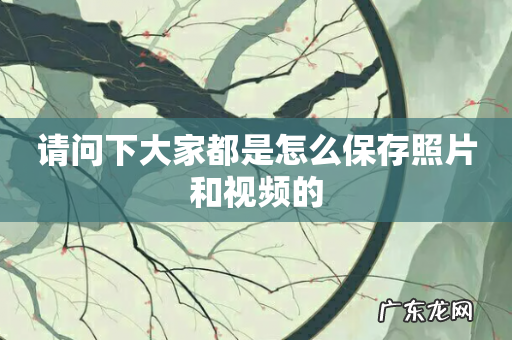 请问下大家都是怎么保存照片和视频的