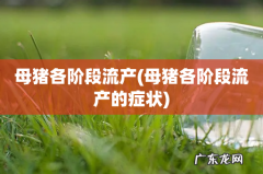 母猪各阶段流产的症状 母猪各阶段流产