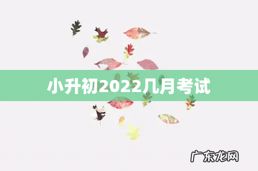 小升初2022几月考试