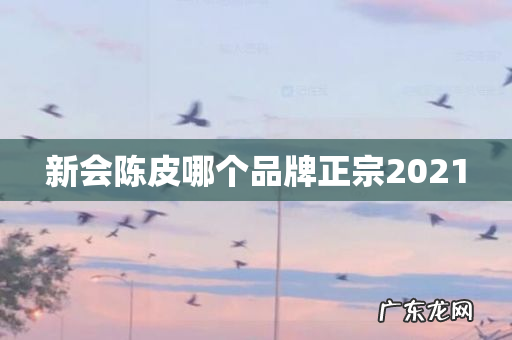 新会陈皮哪个品牌正宗2021