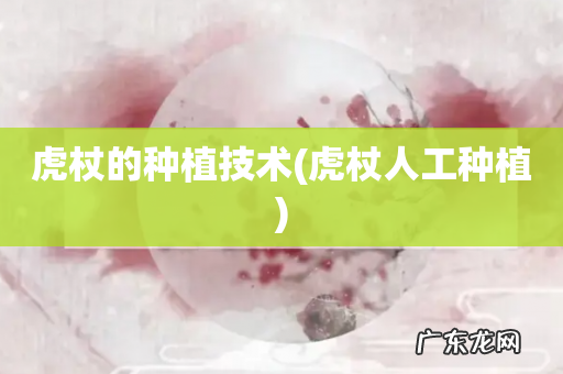 虎杖人工种植 虎杖的种植技术