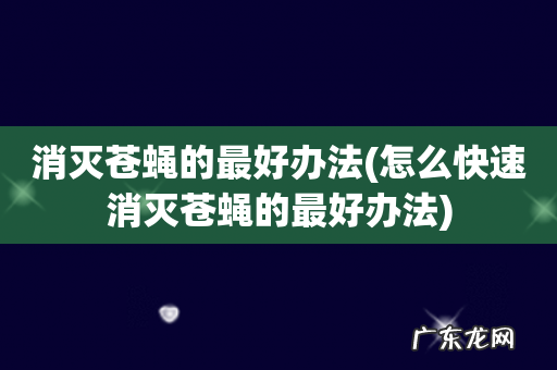 怎么快速消灭苍蝇的最好办法 消灭苍蝇的最好办法