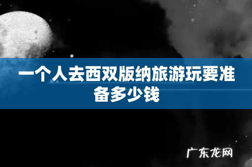 一个人去西双版纳旅游玩要准备多少钱