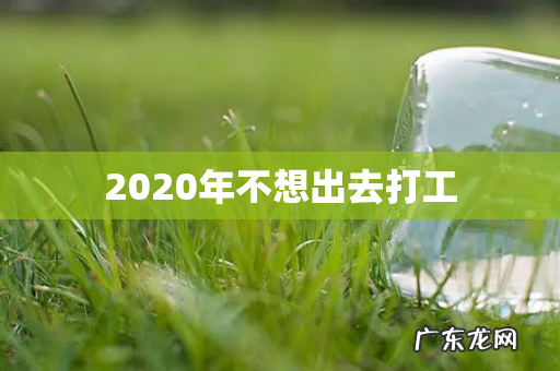 2020年不想出去打工
