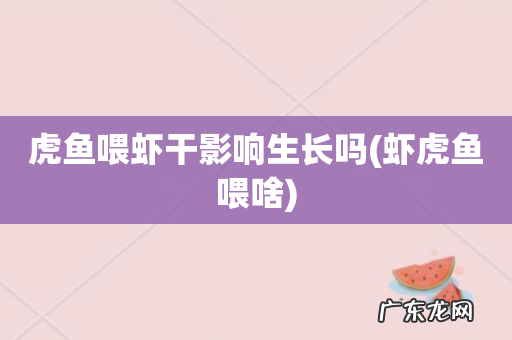 虾虎鱼喂啥 虎鱼喂虾干影响生长吗