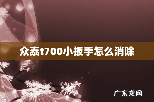 众泰t700小扳手怎么消除