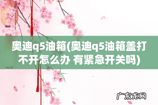 奥迪q5油箱盖打不开怎么办 有紧急开关吗 奥迪q5油箱
