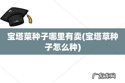 宝塔草种子怎么种 宝塔菜种子哪里有卖