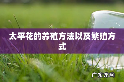 太平花的养殖方法以及繁殖方式
