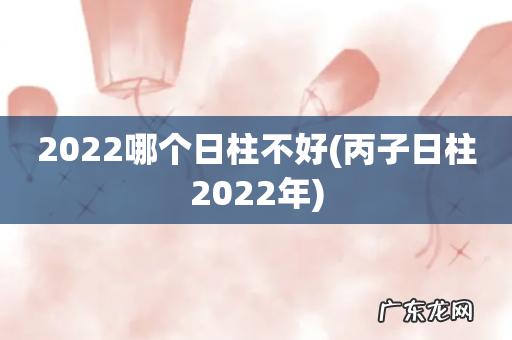 丙子日柱2022年 2022哪个日柱不好