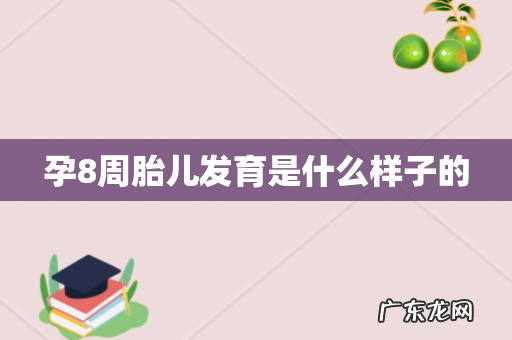 孕8周胎儿发育是什么样子的