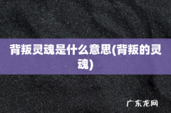背叛的灵魂 背叛灵魂是什么意思