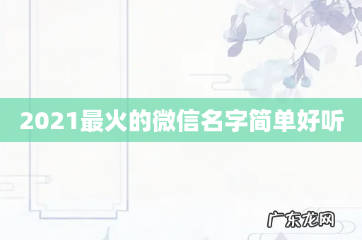 2021最火的微信名字简单好听