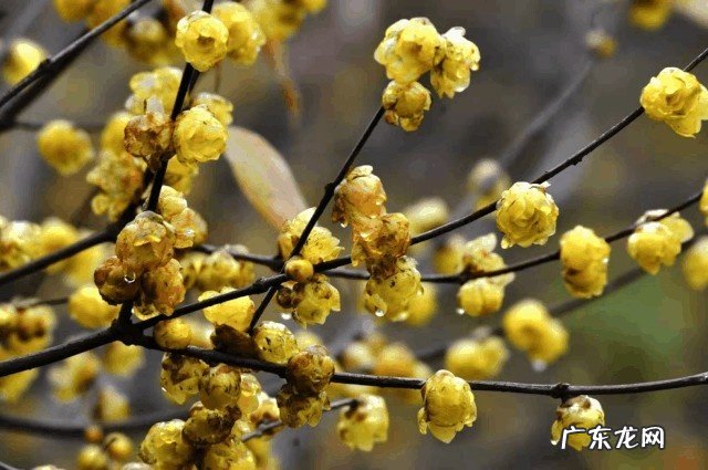 风水轮流转谁说的 风水轮流转的语录