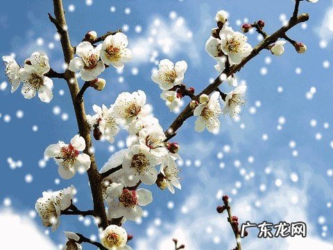 风水轮流转谁说的 风水轮流转的语录