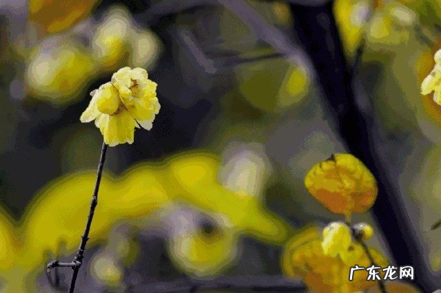 风水轮流转谁说的 风水轮流转的语录