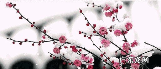 风水轮流转谁说的 风水轮流转的语录