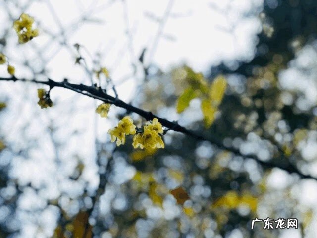 风水轮流转谁说的 风水轮流转的语录