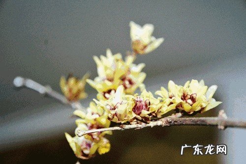 风水轮流转谁说的 风水轮流转的语录