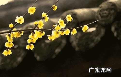 风水轮流转谁说的 风水轮流转的语录