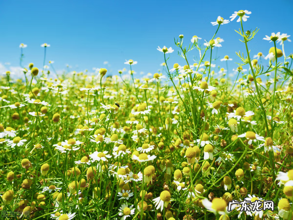 防城港人气最好的景点 防城港风水好不好