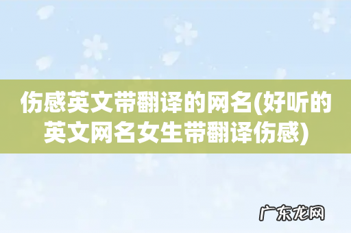 好听的英文网名女生带翻译伤感 伤感英文带翻译的网名