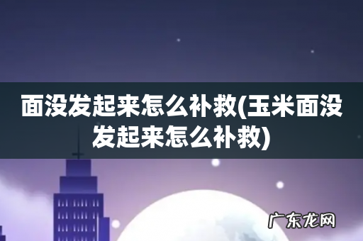 玉米面没发起来怎么补救 面没发起来怎么补救