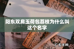 阳东双肩玉荷包荔枝为什么叫这个名字
