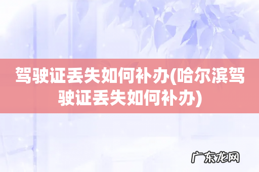 哈尔滨驾驶证丢失如何补办 驾驶证丢失如何补办