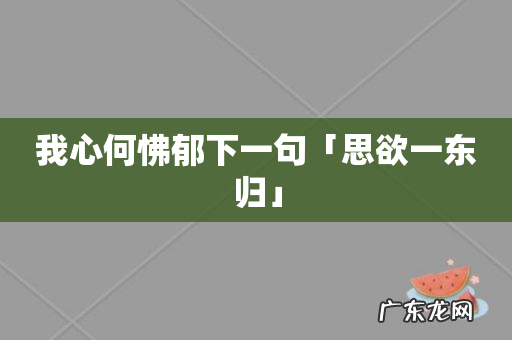 我心何怫郁下一句「思欲一东归」