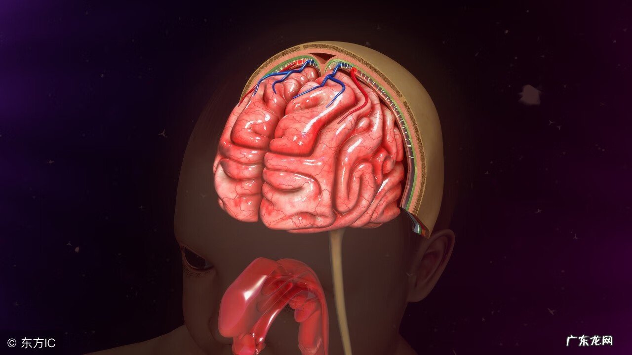 脑炎的最初症状 脑炎的早期症状鉴别