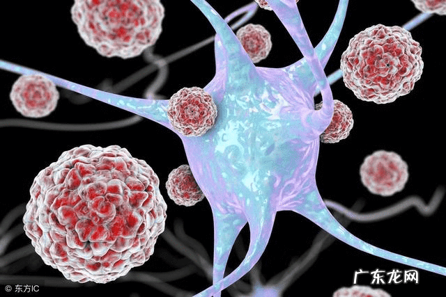 脑炎的最初症状 脑炎的早期症状鉴别