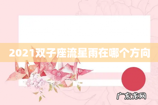 2021双子座流星雨在哪个方向