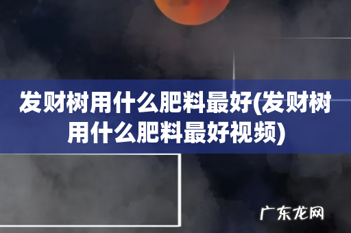 发财树用什么肥料最好视频 发财树用什么肥料最好
