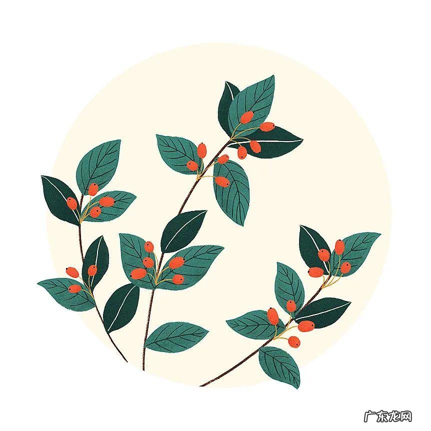 重阳节英语介绍