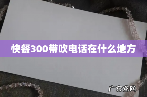快餐300带吹电话在什么地方