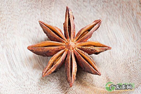 干枝八角和大红八角区别 大红八角和八角的区别