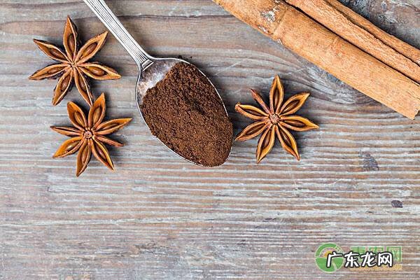 干枝八角和大红八角区别 大红八角和八角的区别