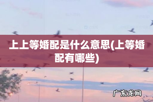 上等婚配有哪些 上上等婚配是什么意思