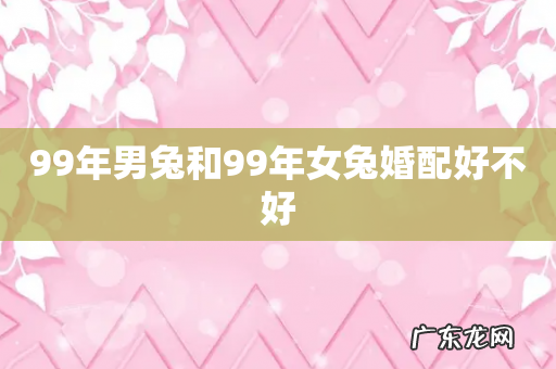 99年男兔和99年女兔婚配好不好
