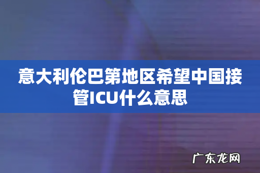 意大利伦巴第地区希望中国接管ICU什么意思