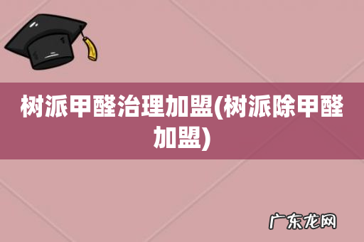 树派除甲醛加盟 树派甲醛治理加盟