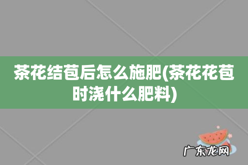 茶花花苞时浇什么肥料 茶花结苞后怎么施肥