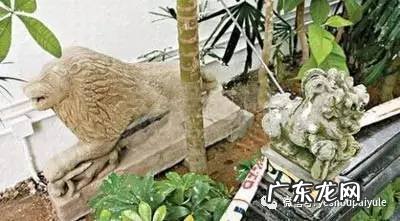 深圳哪里有风水大师 深圳风水大师电话