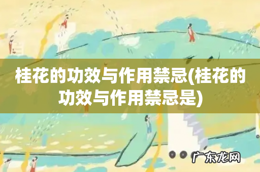 桂花的功效与作用禁忌是 桂花的功效与作用禁忌