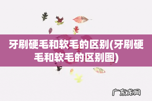 牙刷硬毛和软毛的区别图 牙刷硬毛和软毛的区别