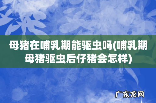 哺乳期母猪驱虫后仔猪会怎样 母猪在哺乳期能驱虫吗