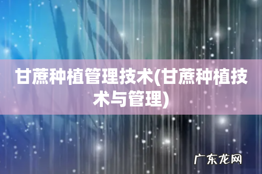 甘蔗种植技术与管理 甘蔗种植管理技术