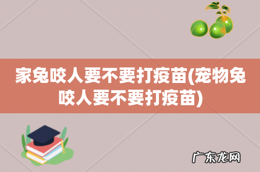 宠物兔咬人要不要打疫苗 家兔咬人要不要打疫苗