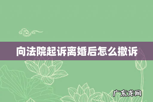 向法院起诉离婚后怎么撤诉